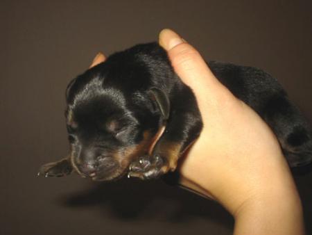 cooooooooooooooll..
